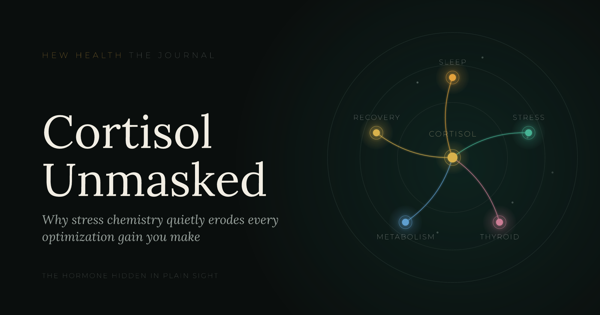 Cortisol Imbalance & Hormone Optimization | Hew Health