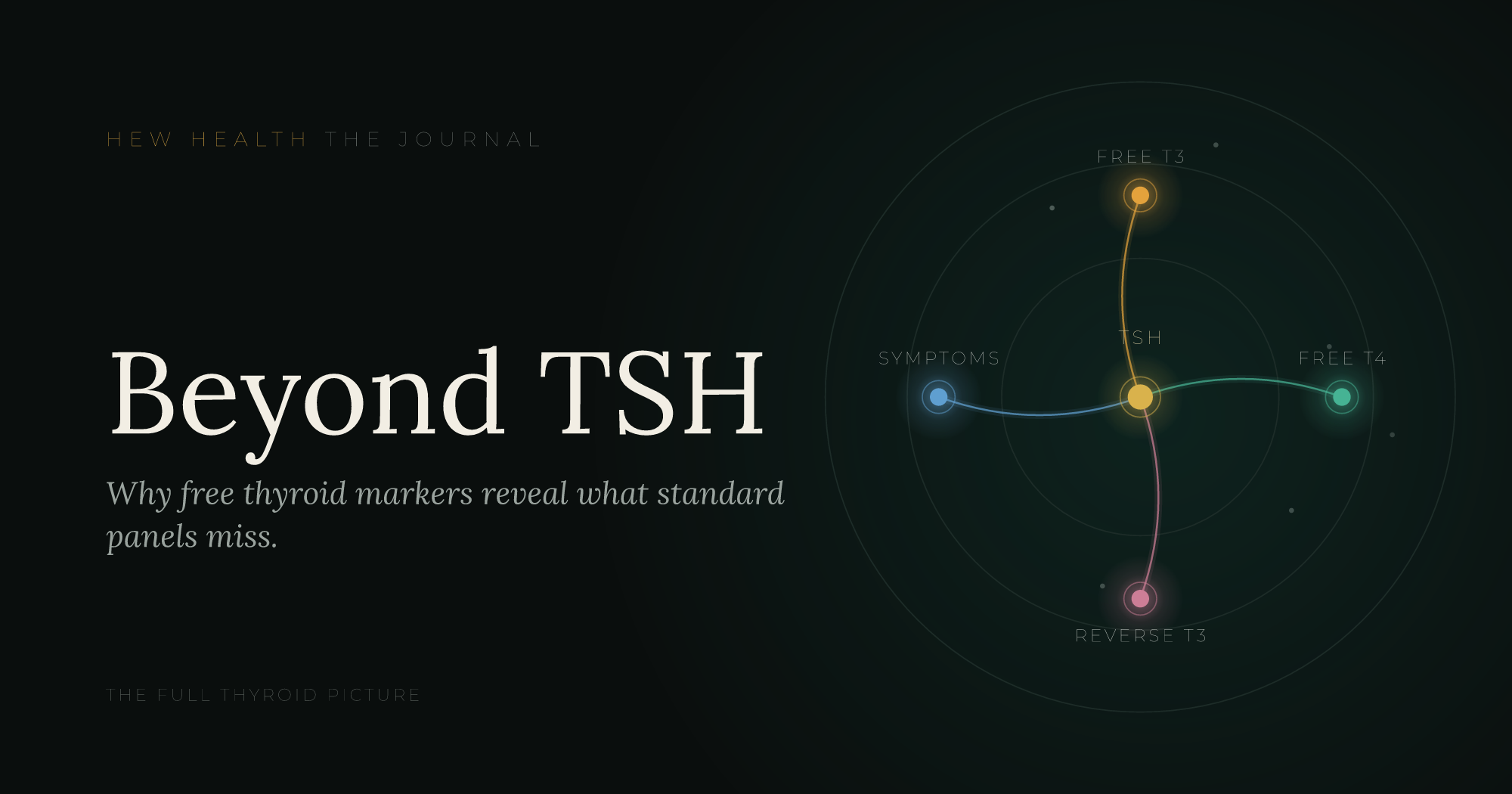 Thyroid Function and Hormone Optimization: T3 & T4